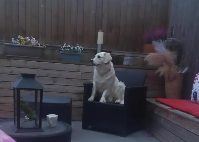 100m2, Independant Dans Notre Maison